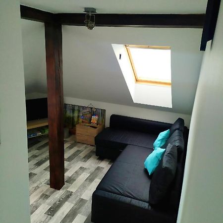 Podkrovni Apartman V Prirode, Vhodny K Relaxaci I Na Sluzebni Cesty Apartment Cerna u Bohdance ภายนอก รูปภาพ