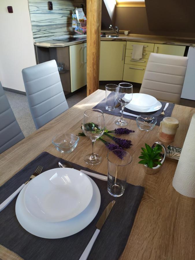 Podkrovni Apartman V Prirode, Vhodny K Relaxaci I Na Sluzebni Cesty Apartment Cerna u Bohdance ภายนอก รูปภาพ