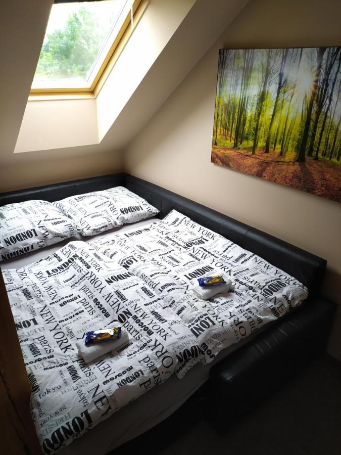 Podkrovni Apartman V Prirode, Vhodny K Relaxaci I Na Sluzebni Cesty Apartment Cerna u Bohdance ภายนอก รูปภาพ