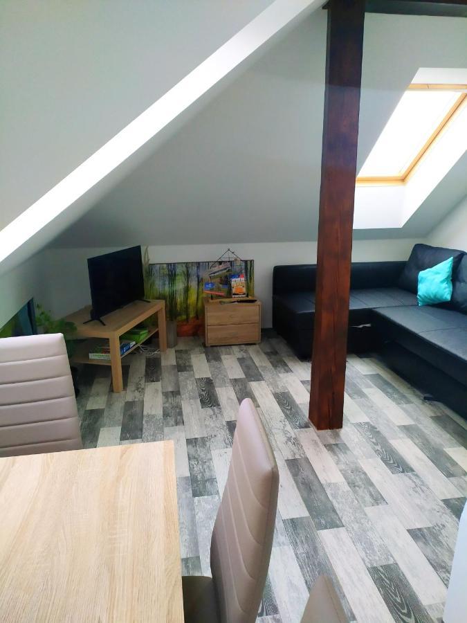 Podkrovni Apartman V Prirode, Vhodny K Relaxaci I Na Sluzebni Cesty Apartment Cerna u Bohdance ภายนอก รูปภาพ